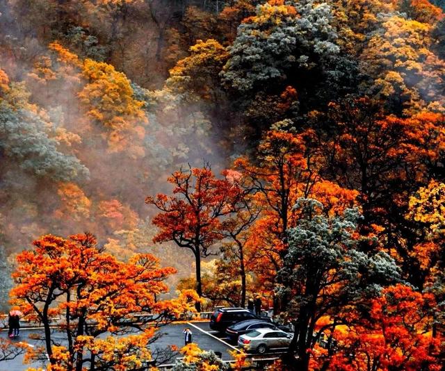 红叶爬上马鬃岭/郭兴华