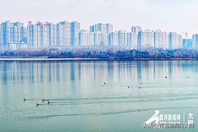 冰雪消融春归处 文瀛湖畔鸟翩跹
