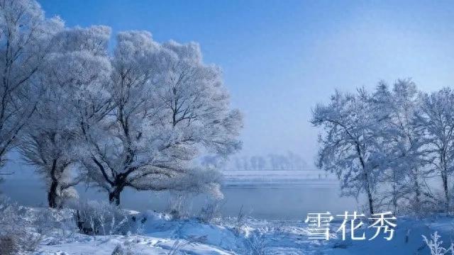 雪景