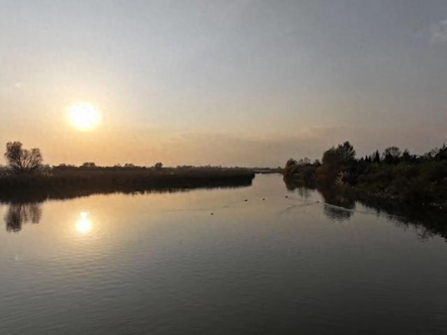 湿地秋语｜桑干水阔 秋韵如画