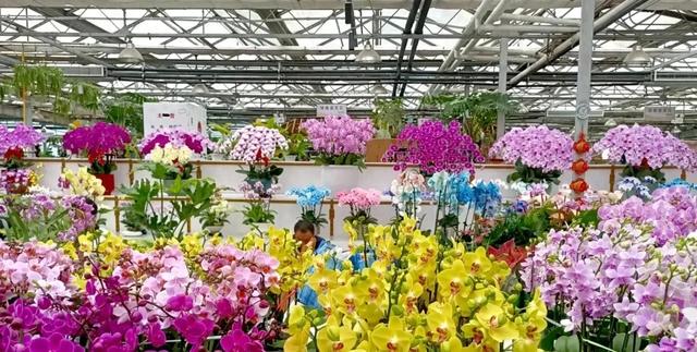 冬天不冷的秘密!就藏在玉泉营