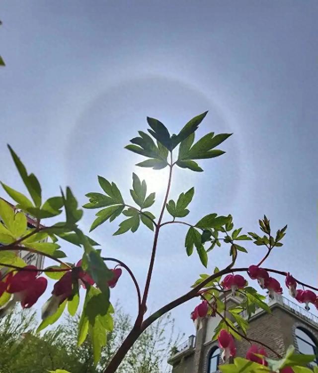 安慰异性朋友的短句子（高情商安慰男人的话术分享）