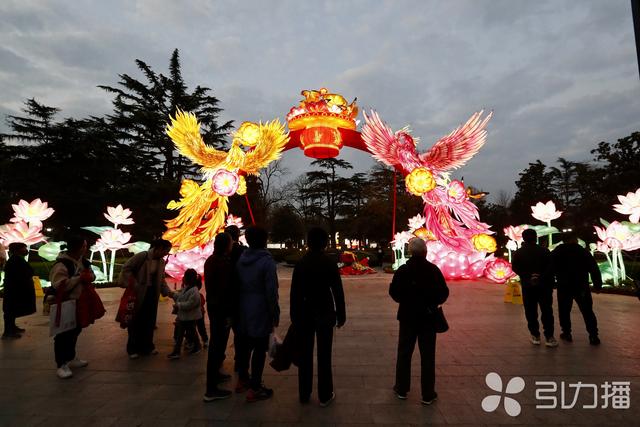 试亮灯！去大公园赏花灯尝美食买冬酿酒