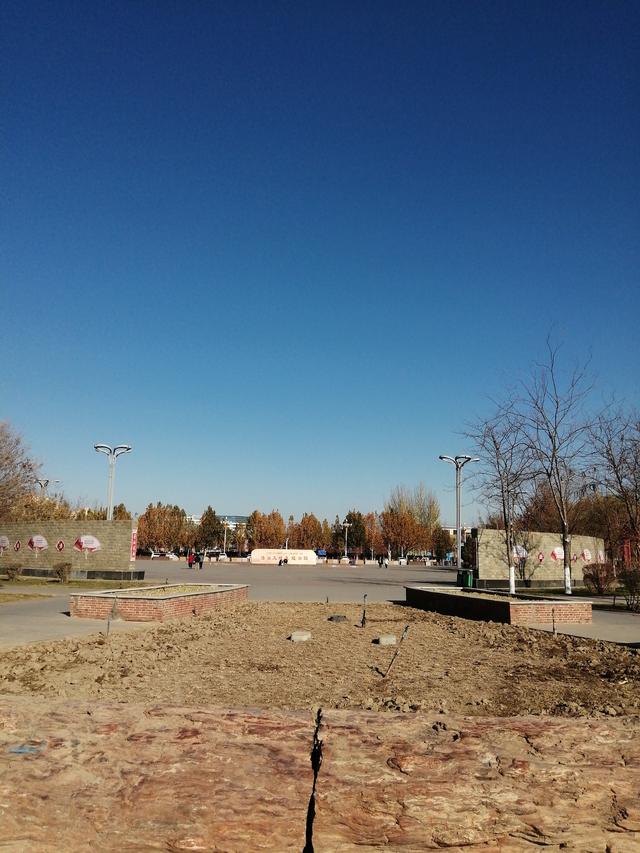 汉滨公园的冬日独白