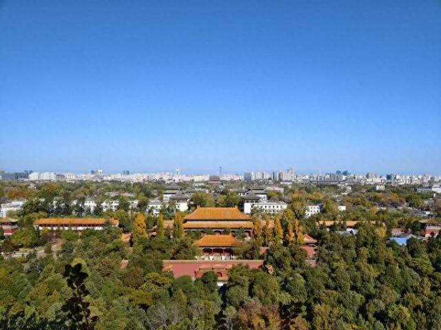 景山彩叶进入颜值巅峰  “赏秋路线+限定奶茶”打卡攻略收好