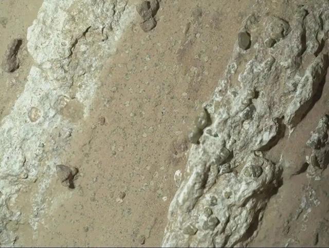 大成果？炒热点？确认“火星生命”先别急