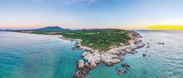 春天里，一起相约木棉花开