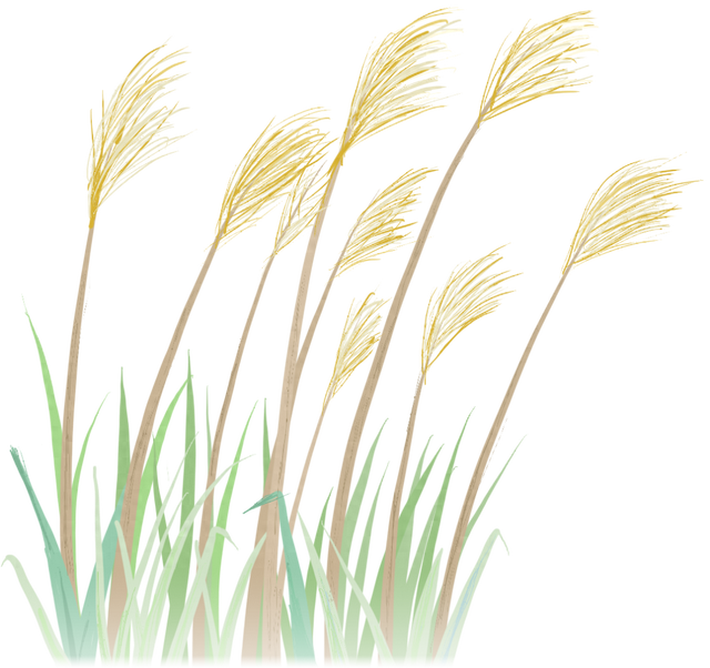 欠钱不还？实名曝光！