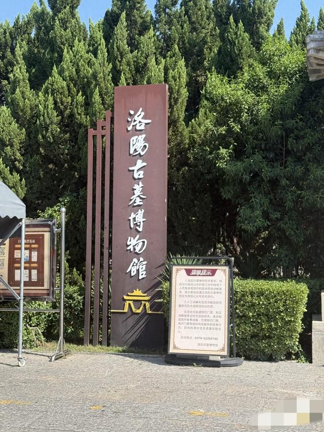 我是上海人，在河南洛阳待了5天，憋不住想说说我的感受和疑问！