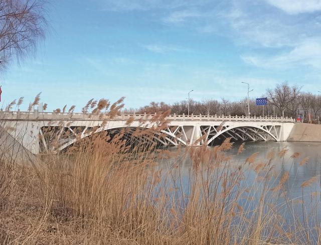 银川城记丨陶然桥、双狮桥——桥跨碧水，映照生态巨变