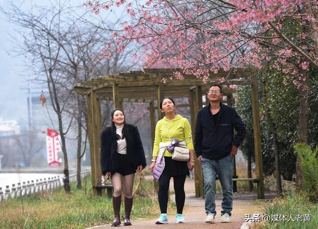 六盘水月照养生谷：冬樱花盛开引客赏花打卡