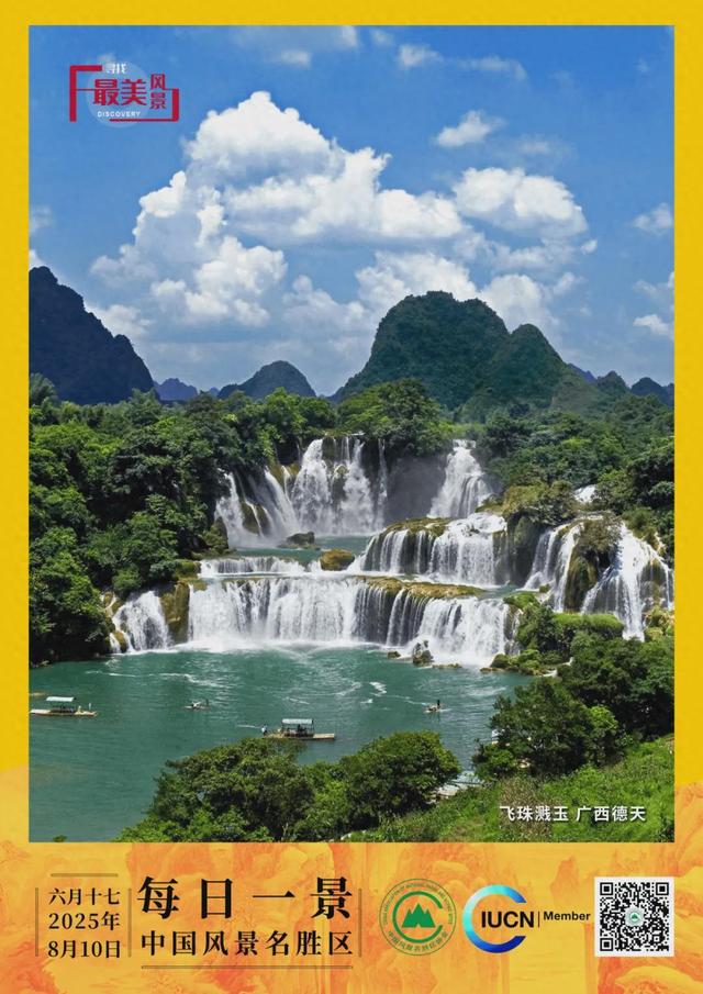 每日一景 | 飞珠溅玉 广西德天