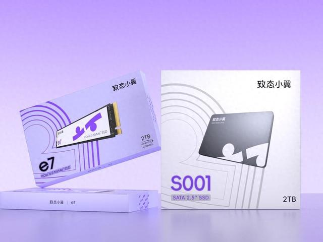 致态五周年推出全新子品牌“致态小翼”，瞄准年轻市场推出两款固态硬盘新品