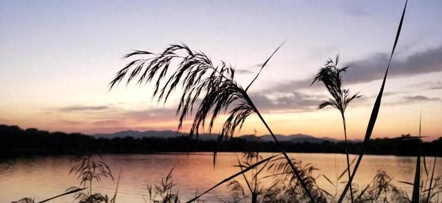 再见十月的圆明园！在时光褶皱里寻秋日诗韵。