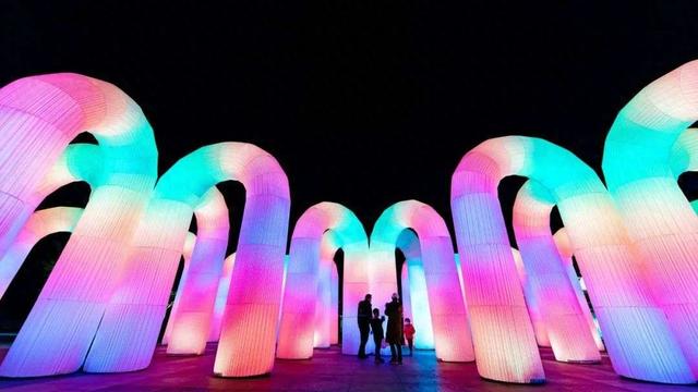 2025新加坡仲夏夜空本周五梦幻登场！