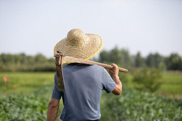 给农民评职称，大家理解错了？