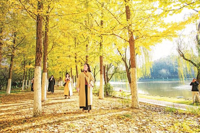 秋林如画醉游人