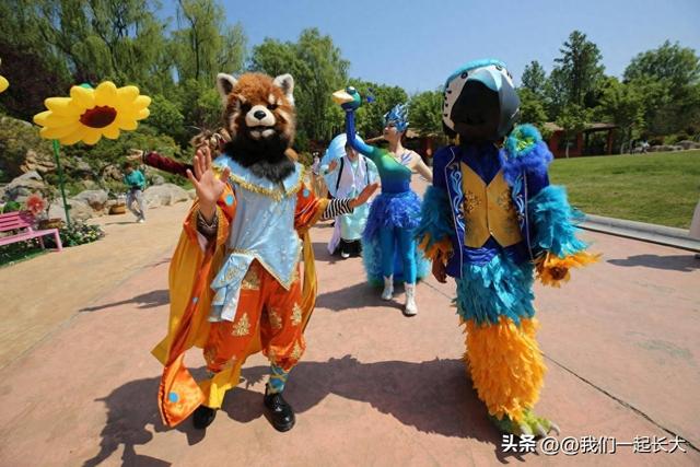 济南野生动物世界十年感恩庆典：金秋宠粉欢乐开启