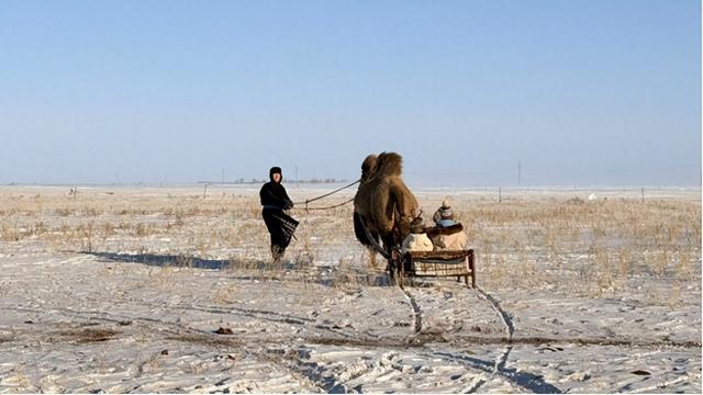 新巴尔虎左旗“沉浸式牧户游”狂揽百万订单