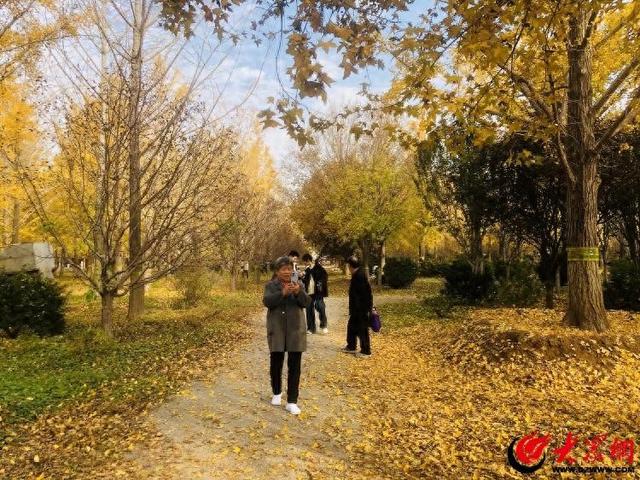 潍坊潍城：敬老秋游乐陶陶