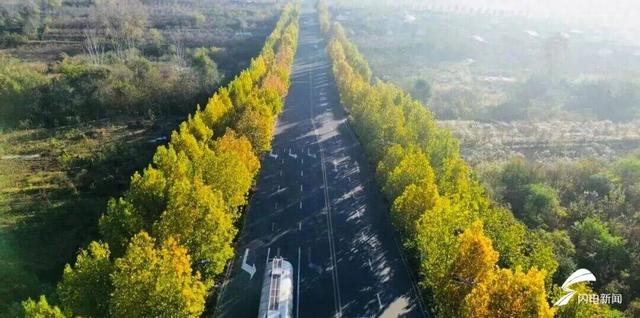 日照东港后村镇初冬限定！藏着最温柔的岁月痕迹