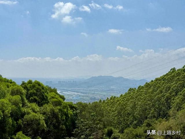 五一“逃跑”计划:去乡村,见天地!