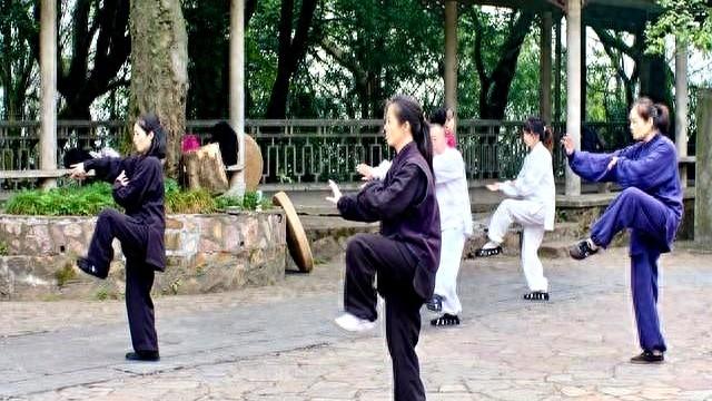 自学太极拳不难！6个实用方法，帮你练出“意气血形”合一的功夫