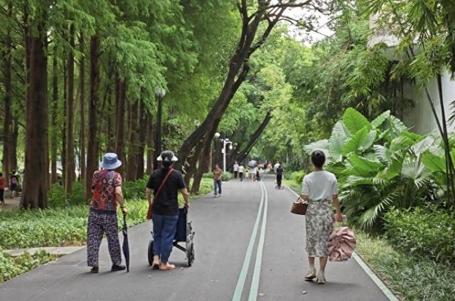 罗湖双园连通新玩法：推娃赏荷不费妈，这条道实测过的都夸！