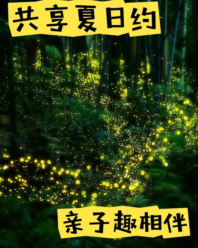 共享夏日约丨亲子趣相伴