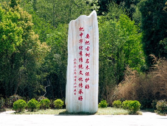 蜀道为轴，文化为魂！剑门关深度文旅融合，挥写中华文化传承新篇章