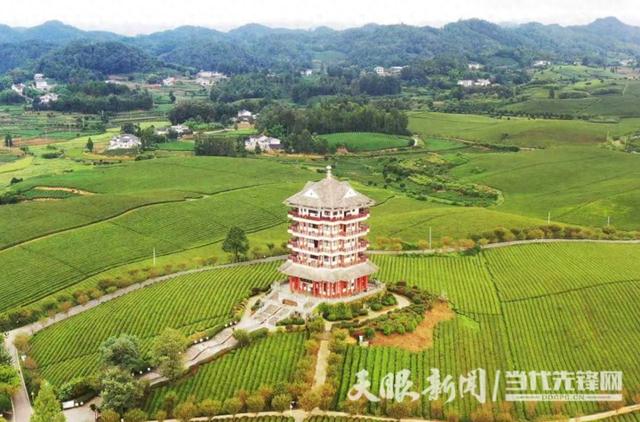遵义市图书馆开展“云读山水（走读遵义）”文旅融合活动