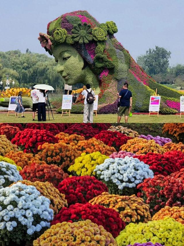 上新！10万㎡花海，秋日绝美打卡地来了