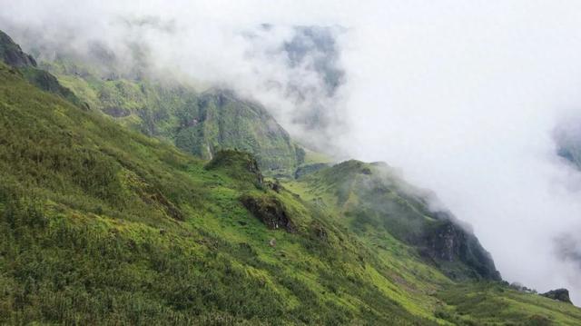 东川节基坪：藏在云雾里的山野秘境