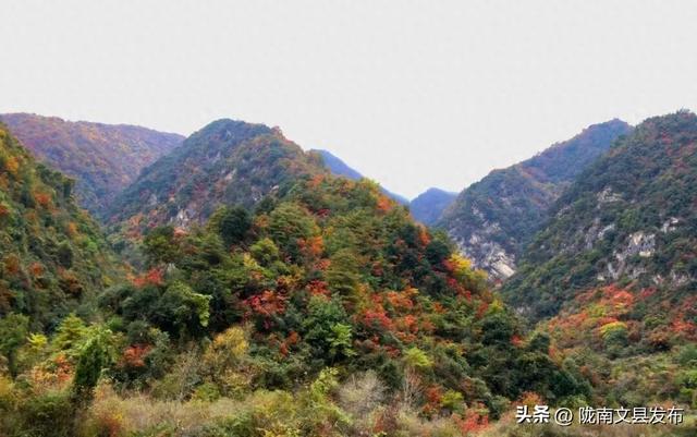 文县天池的秋，是上帝打翻的调色盘！