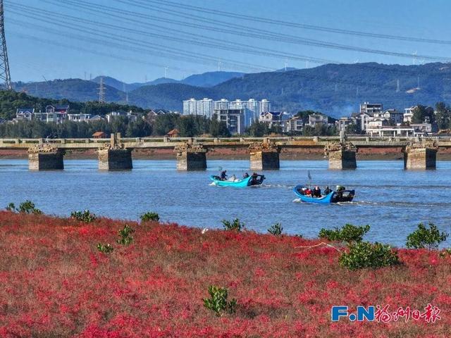 快来打卡！福州惊现“红海”奇观