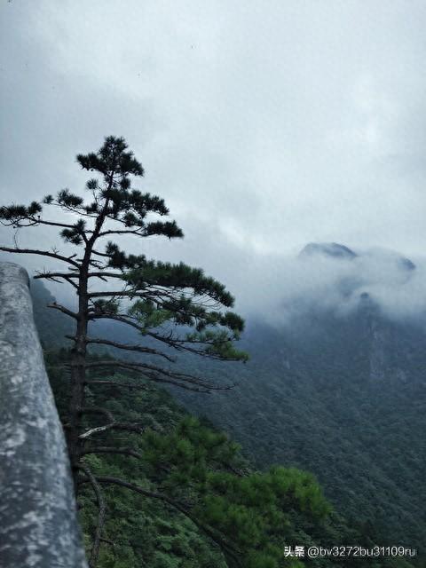 春游省钱攻略！一大批景区免费开放