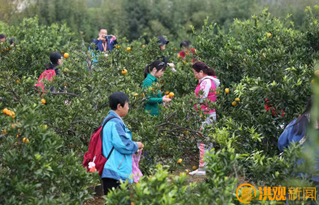 @南昌人，冬日亲子游宝藏攻略赶紧收藏