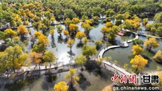 甘肃金塔：胡杨林美景醉游人