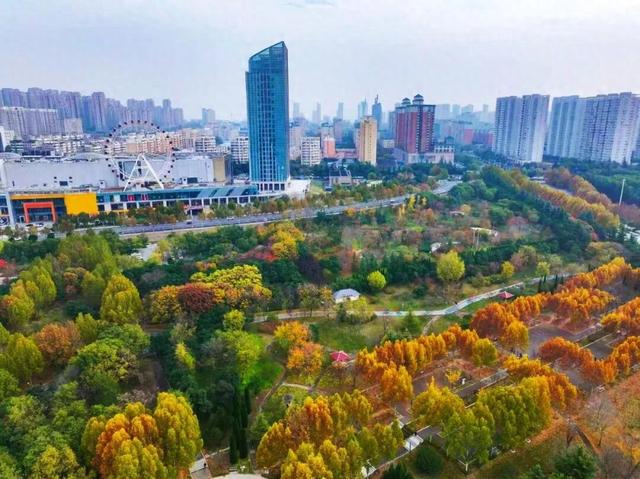 五彩斑斓！巩义市区这个宝藏打卡地迎来颜值巅峰→