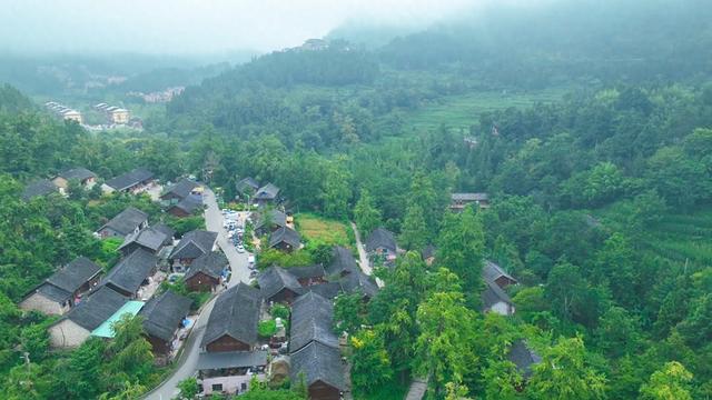 盘州市妥乐古银杏景区：绿色氧吧引来众多避暑游客