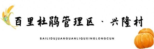 乡游黔中 · 百里杜鹃管理区 兴隆村丨秋色染杜鹃岭，山野果香醉清风