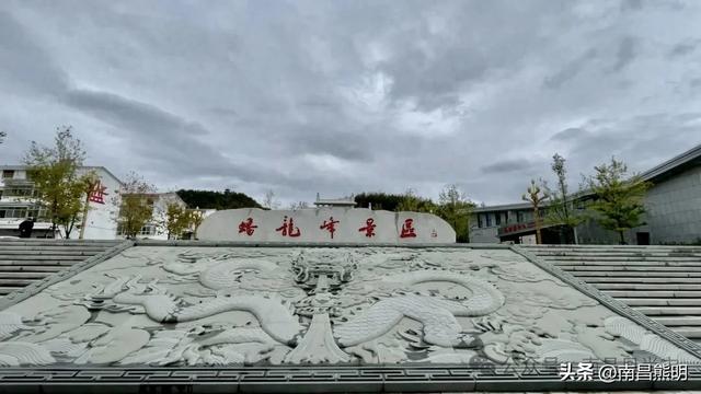 湾里揽胜:蟠龙峰下茶养云