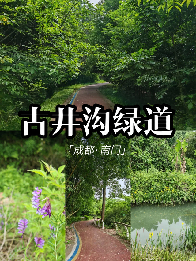 成都0.5h遛娃首选，又找到一条无人问津的捡秋绿道！