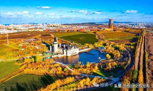 【乐游烟台】免费开放，烟台张裕长尾猫邀您全家嗨玩黄金周！
