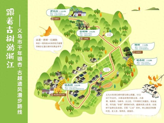 一天上万人涌入！义乌这个村，被省里看上了！