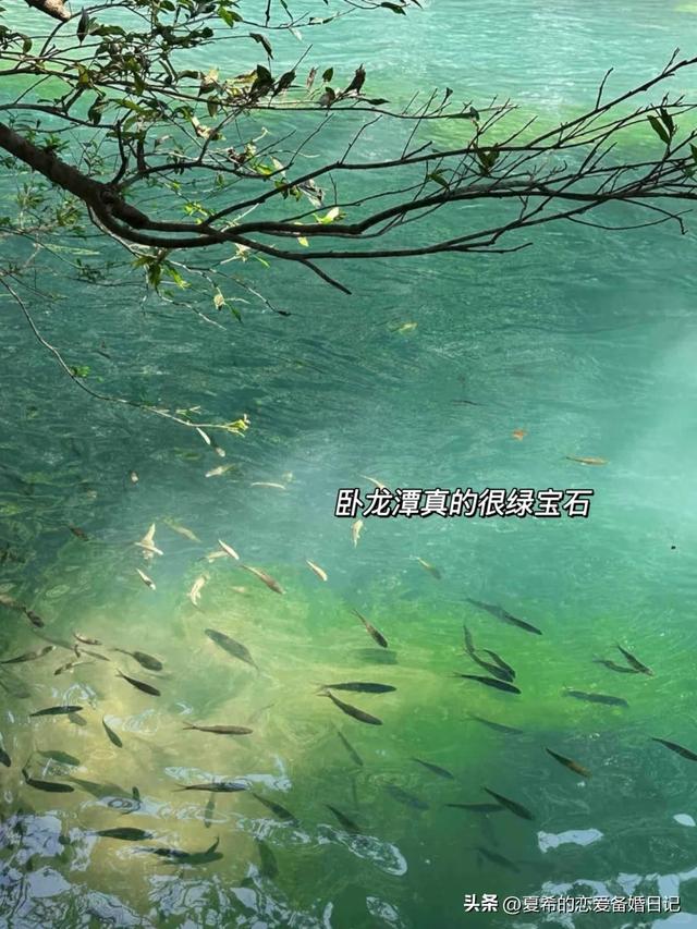小七孔东进东出旅游攻略，这样错峰玩不排长队