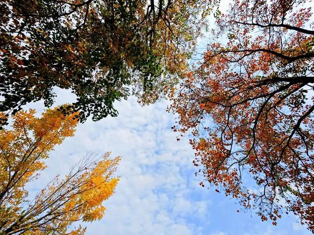 许昌人，这两天请抓紧时间出门