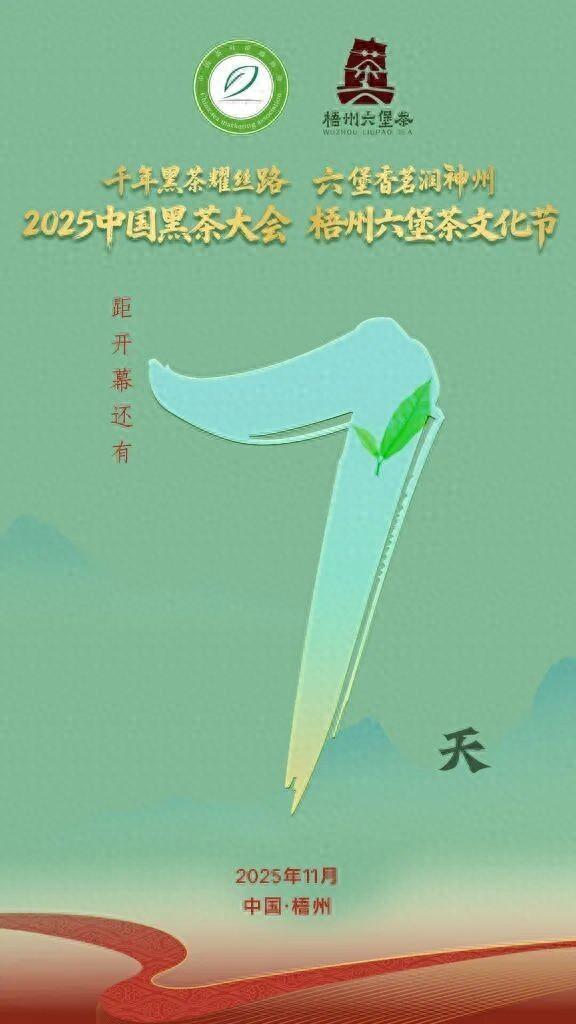 茶船古道迎盛会黑茶新篇待启幕丨“一会一节”筹备进入冲刺期