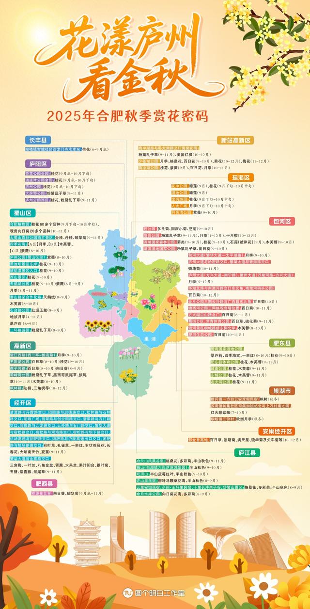 秋姑娘来了！合肥赏花地图大上新