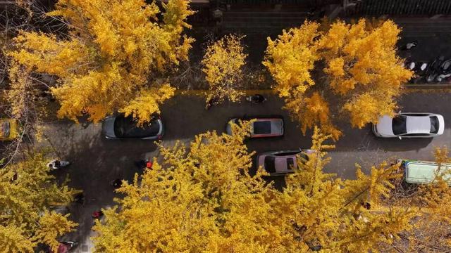 大理又要开“滤镜”了